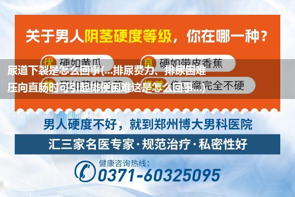 尿道下裂是怎么回事(...排尿费力、排尿困难压向直肠时可引起排便困难这是怎么回事...)